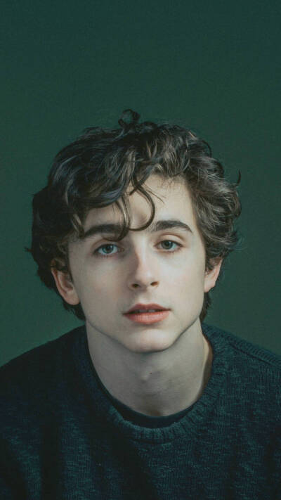 蒂莫西·柴勒梅德Timothée Chalamet，甜茶，头像，壁纸cr @Rainstorm-暴雨