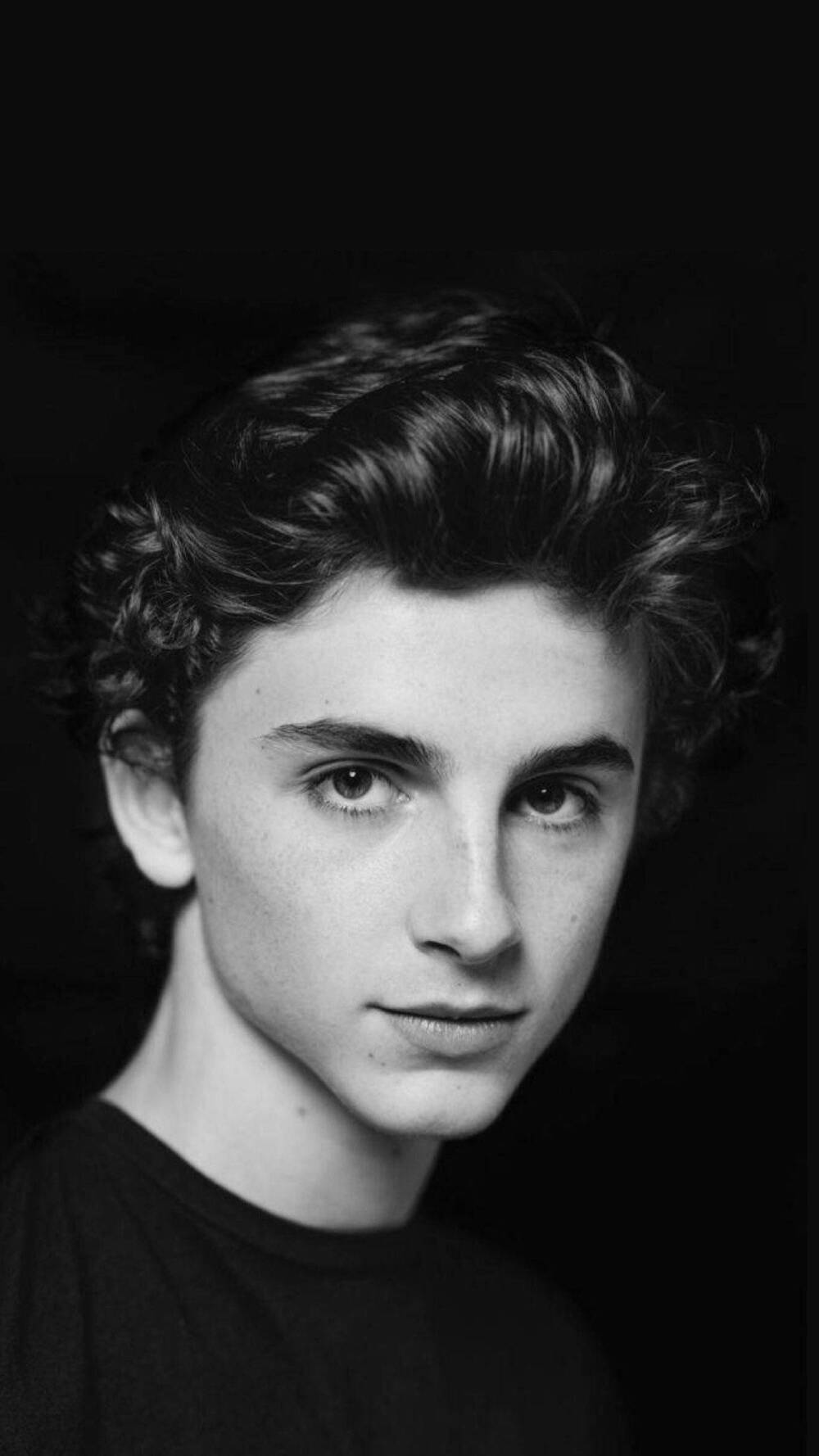 蒂莫西·柴勒梅德Timothée Chalamet，甜茶，头像，壁纸