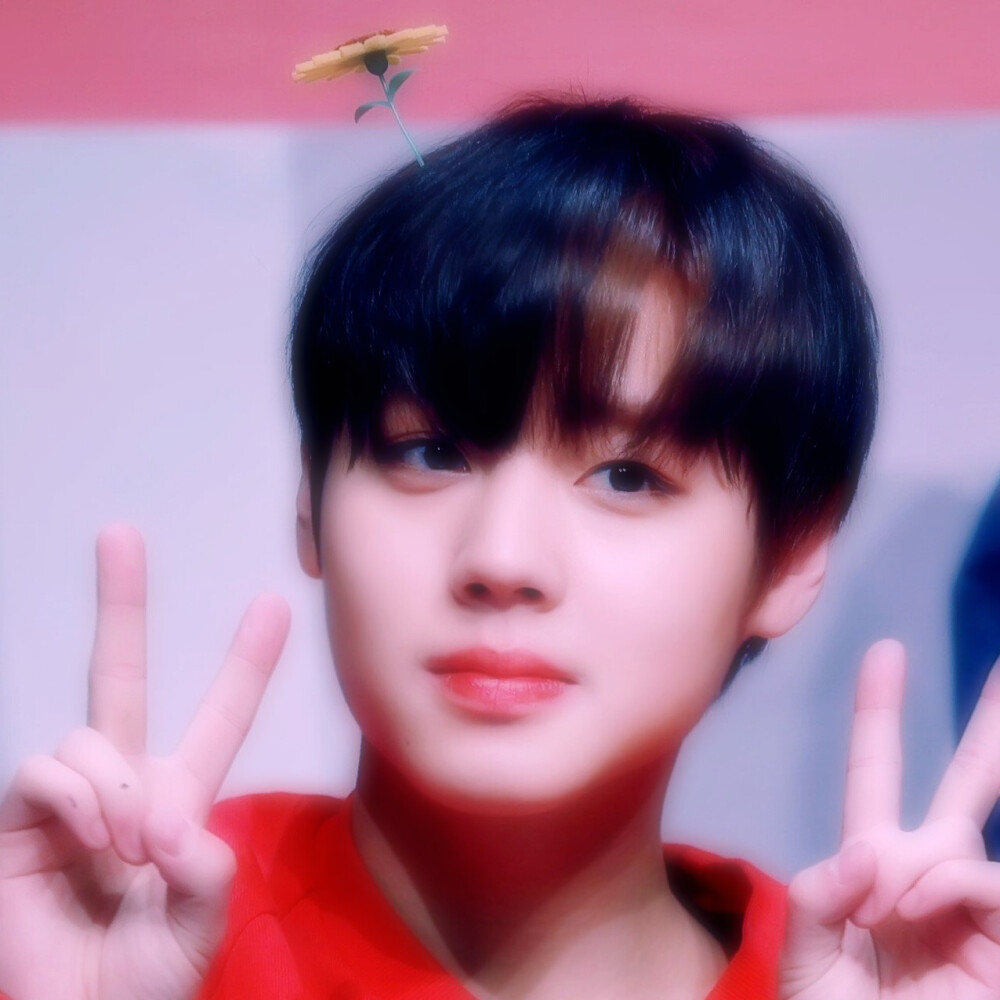 男爱豆头像 wanna one 朴志训/自修