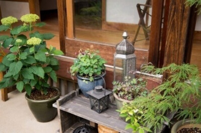 世外桃源的惬意