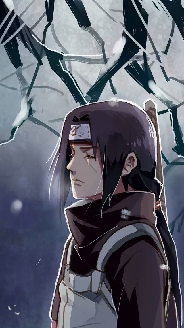 鼬- 堆糖,美图壁纸兴趣社区