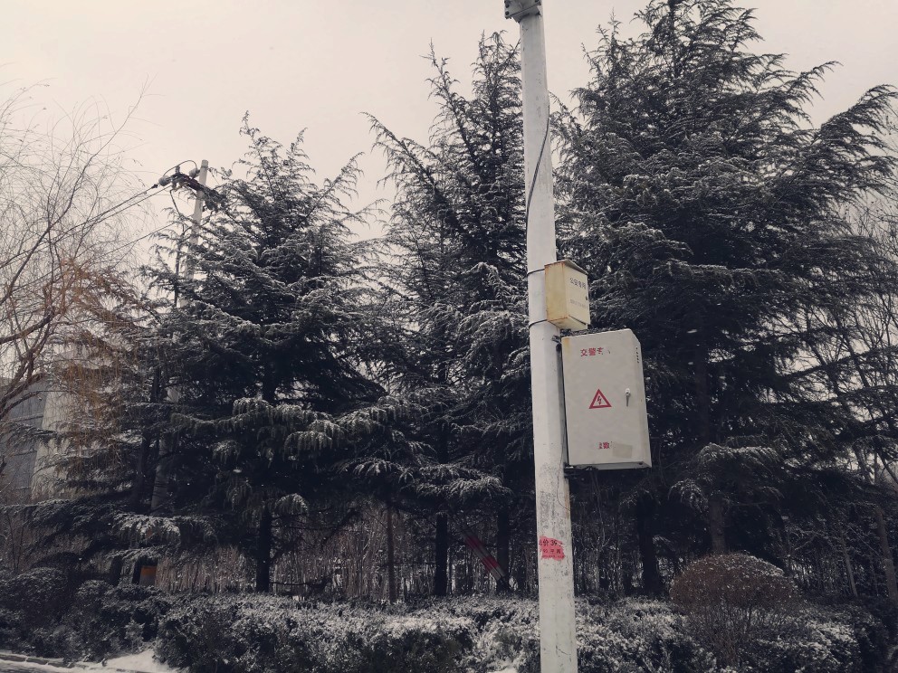 有雪。