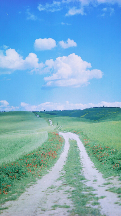 壁纸 清新 风景๓