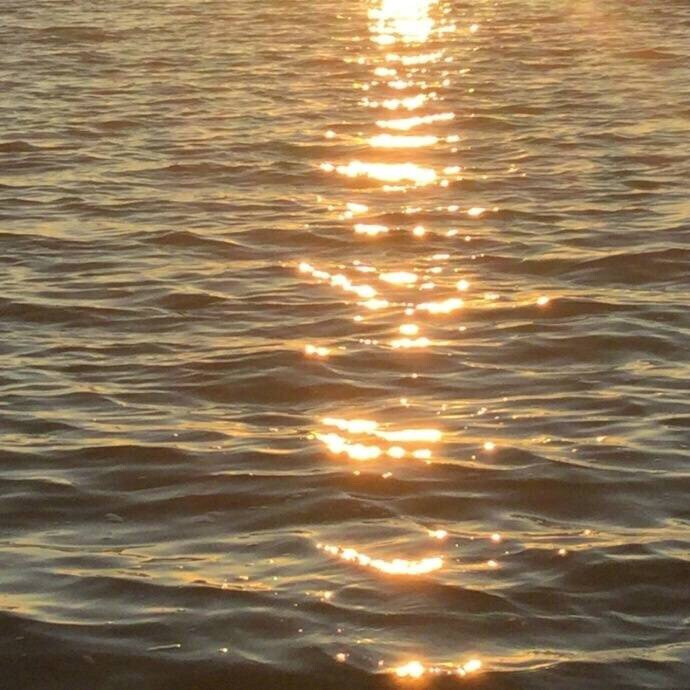 掉进海里的星星✨