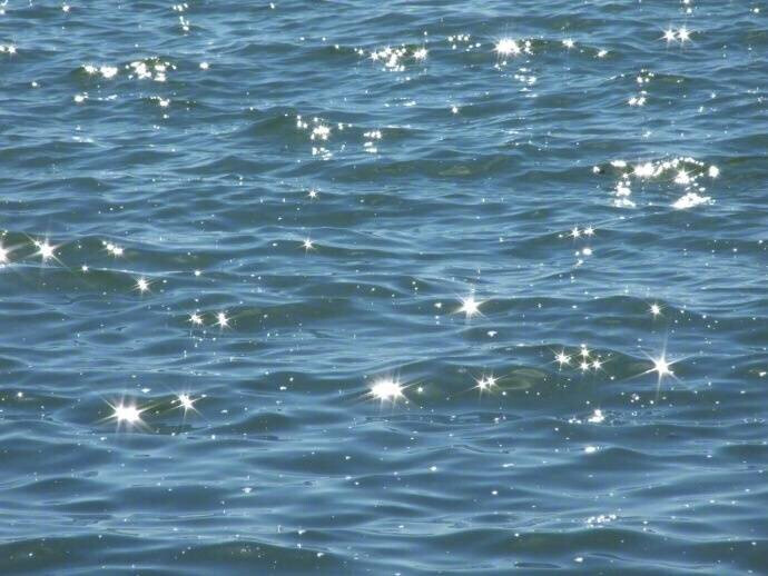 掉进海里的星星✨