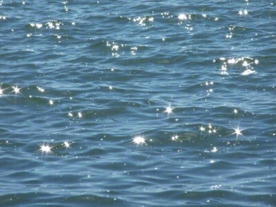 掉进海里的星星✨