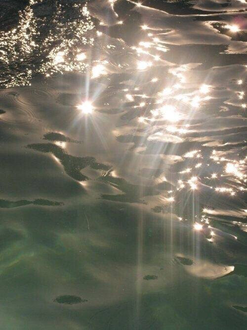 掉进海里的星星✨