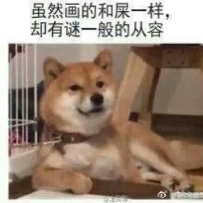 画手专用