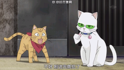 猫 自截 齐木楠雄