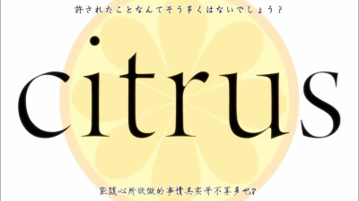 2018.2Citrus~柑橘味香气