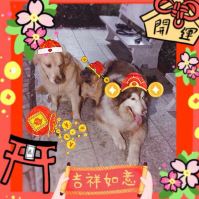 狗年吉祥