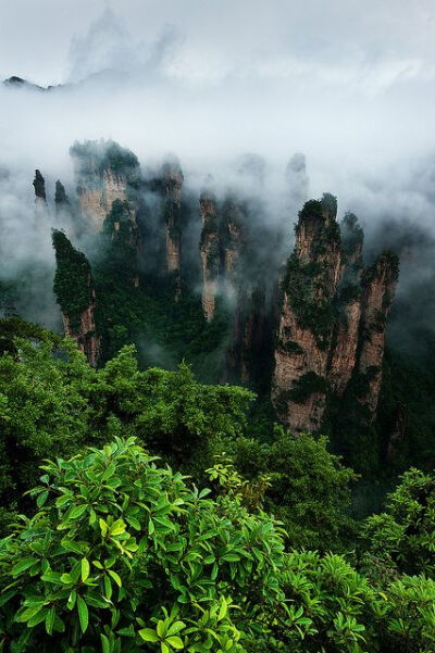 Zhangjiajie National Park, China #美景# #摄影师# #摄影比赛#