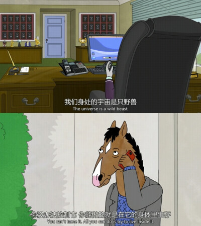 BOJACK HORSEMAN