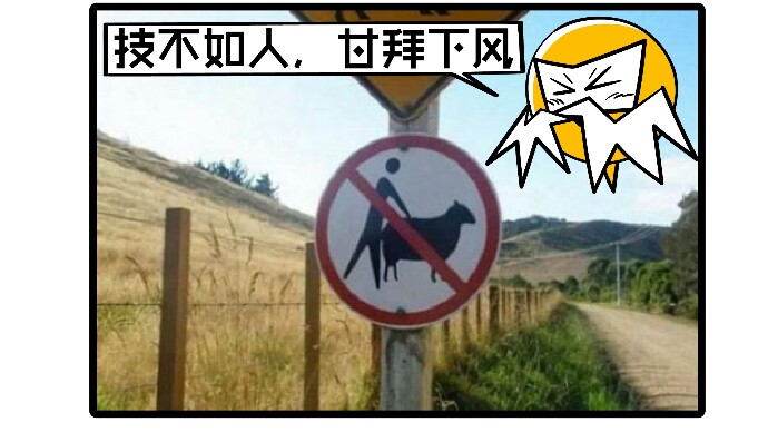 搞笑666真实的故事