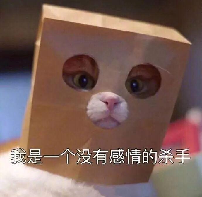 她.