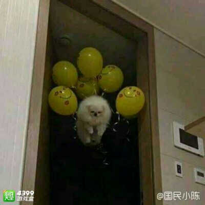 以后别给我过生日了。