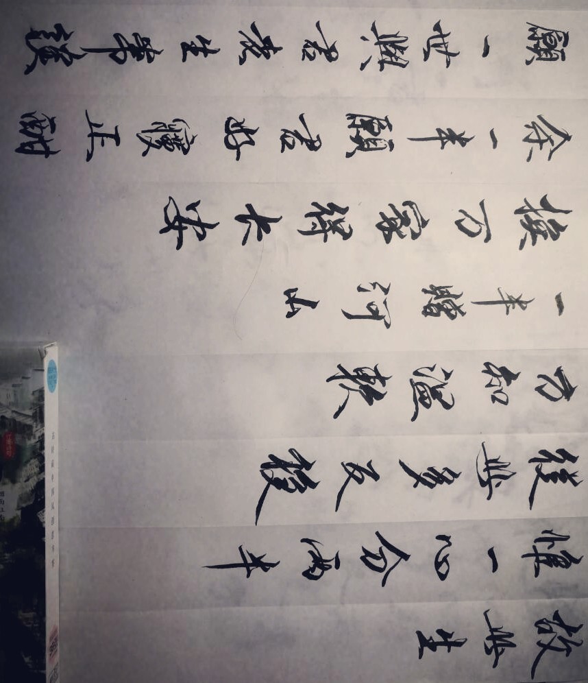 杀破狼•月若流金