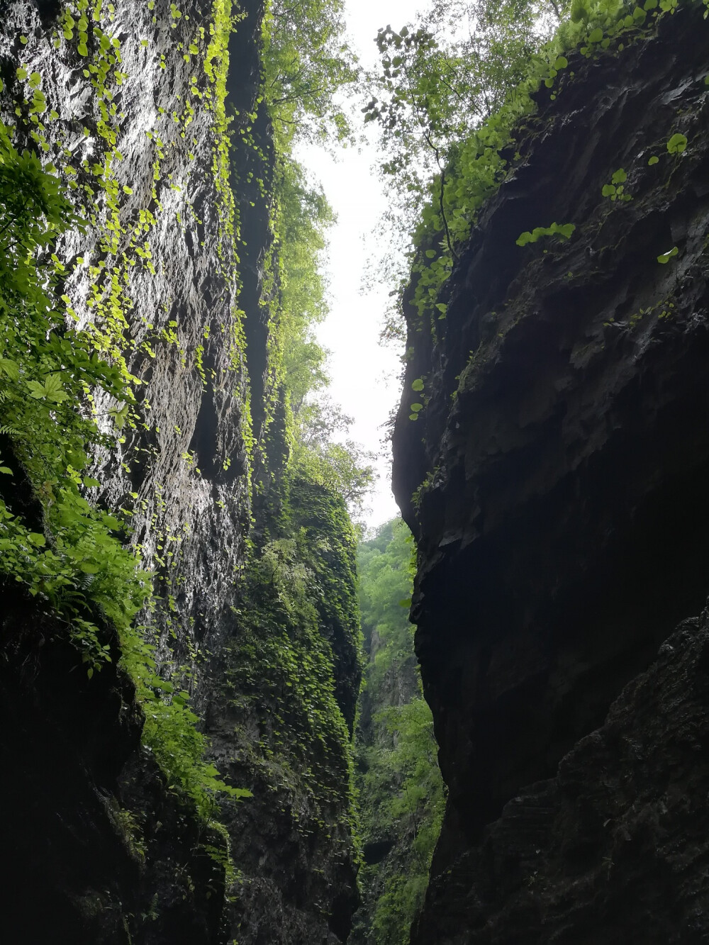 深山