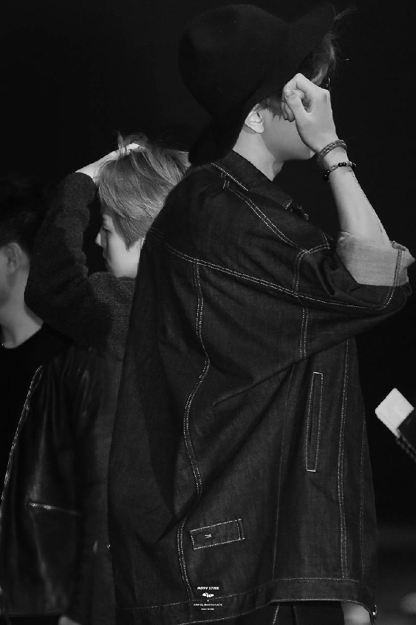 EXO 朴灿烈 边伯贤 灿白 明星 壁纸