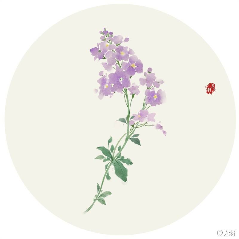 紫色紫罗兰 花语:爱情 作者'无轩