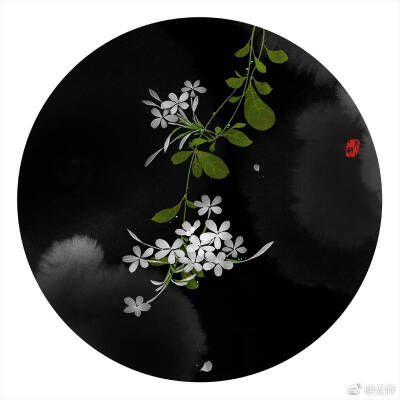 白雪花 作者'无轩