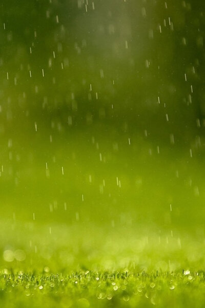 不是所有的下雨天都那么糟糕，虽然将原本计划打乱，但细细欣赏，雨天也有别样的美。