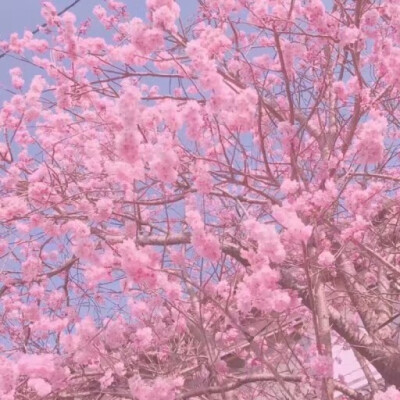 键盘图
