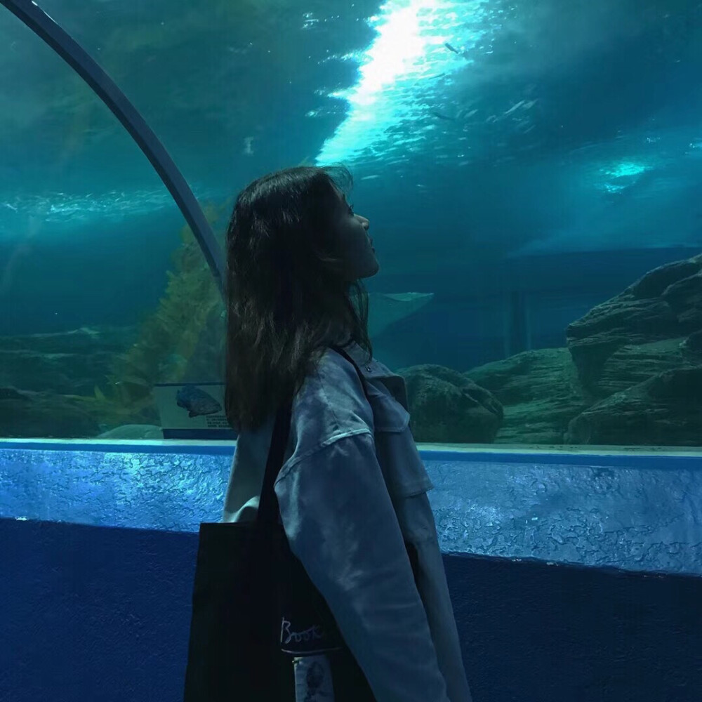 水族馆