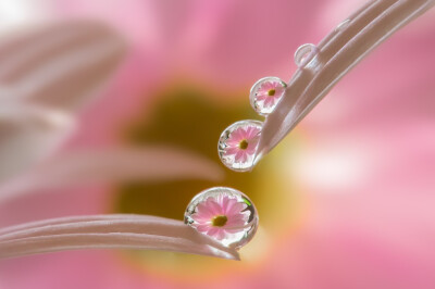 Miki Asai在 500px 上的照片Rain over us