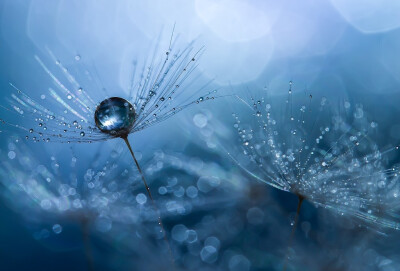 Miki Asai在 500px 上的照片Rain over us