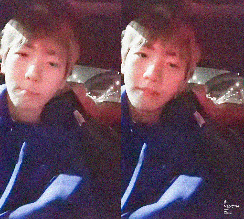 今天也是又仙又嫩的贤贤～