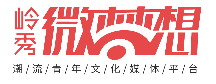 6年的成长，6年的淬炼，岭秀早已从嗷嗷待哺的婴儿成为一名少年。感谢前人的栽培，感谢今人的努力，感谢客户朋友的支持