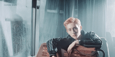 winwin董思成 NCT U Boss