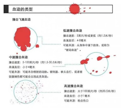 【血淋淋的真相】侵删致歉