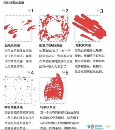 【血淋淋的真相】侵删致歉