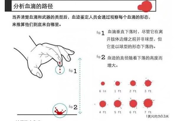 【血淋淋的真相】侵删致歉