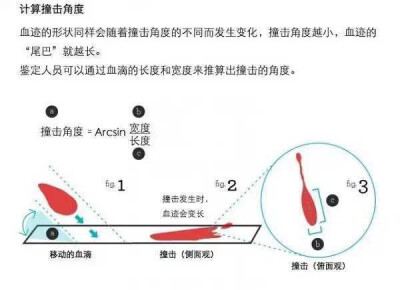 【血淋淋的真相】侵删致歉