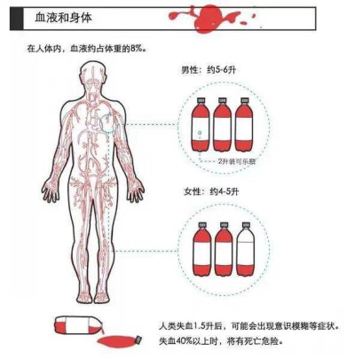 【血淋淋的真相】侵删致歉