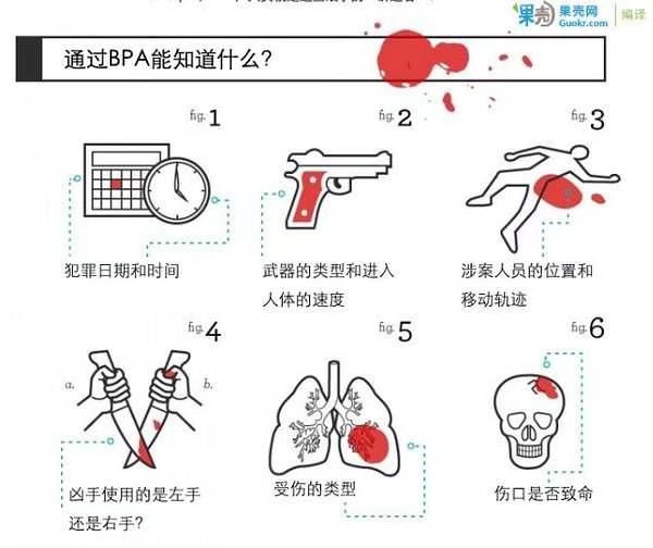 【血淋淋的真相】侵删致歉