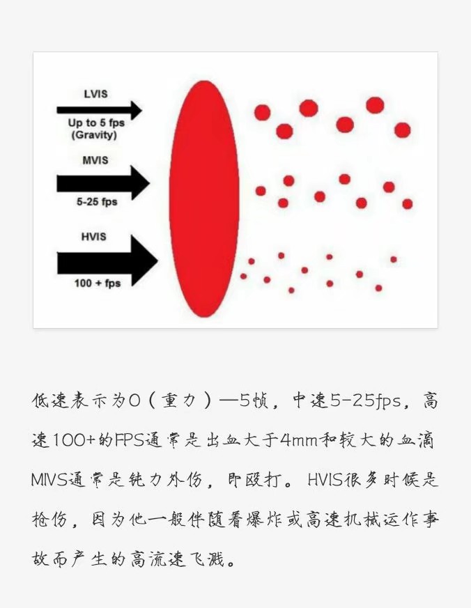 【血淋淋的真相】侵删致歉