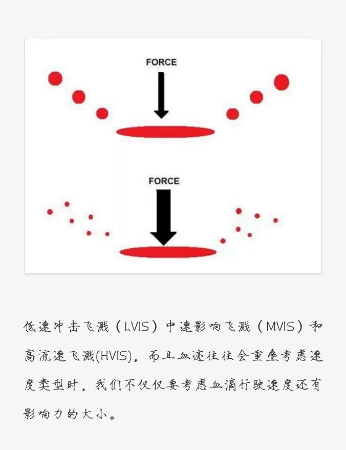 【血淋淋的真相】侵删致歉