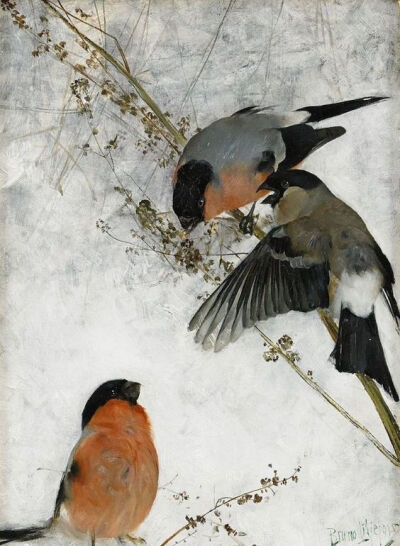 瑞典Bruno Andreas Liljefors 