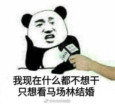 博多豚骨拉面团
马场林