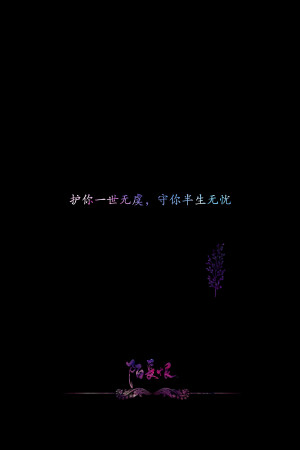 护你一世无虑，守你半生无忧