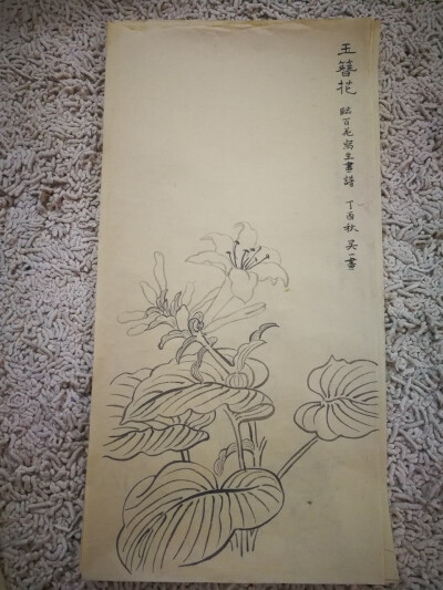 玉簪花