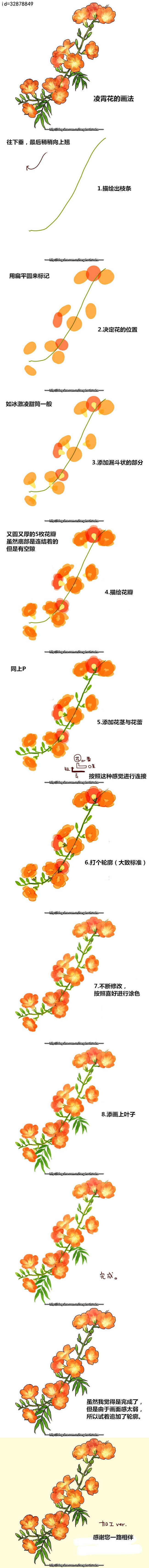 绘画花卉教程参考图