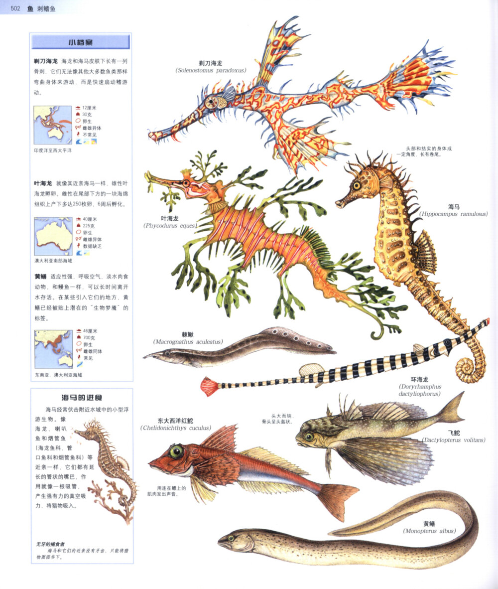 世界动物百科全书