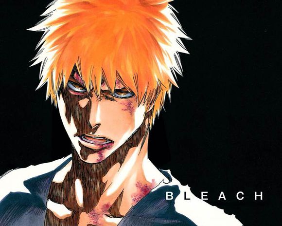 死神。bleach.境界