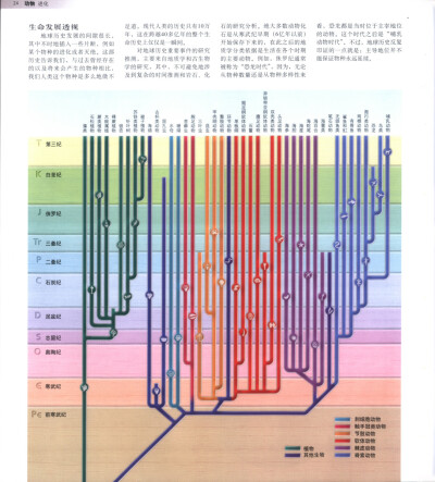 世界动物百科全书