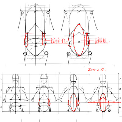 绘画参考+人体解剖、骨骼结构